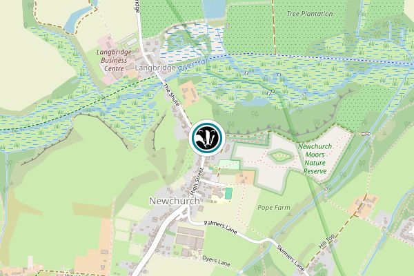 Newchurch Moors Nature Reserve