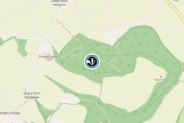 Noar Hill Nature Reserve