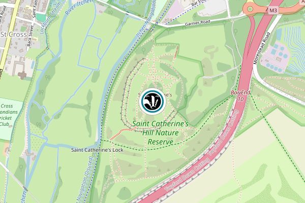 St Catherine's Hill Nature Reserve