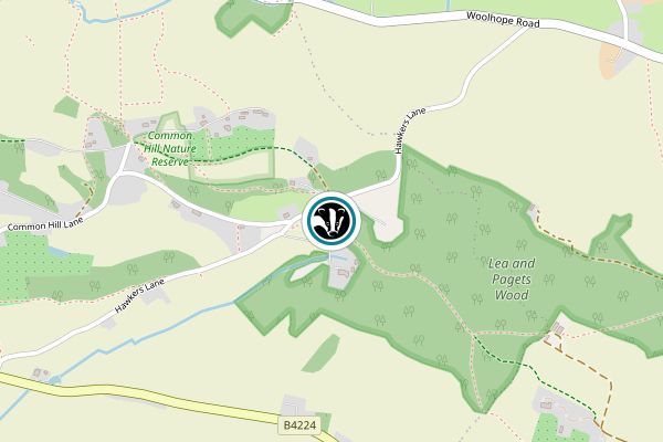 Lea & Paget's Wood
