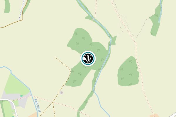Romers Wood