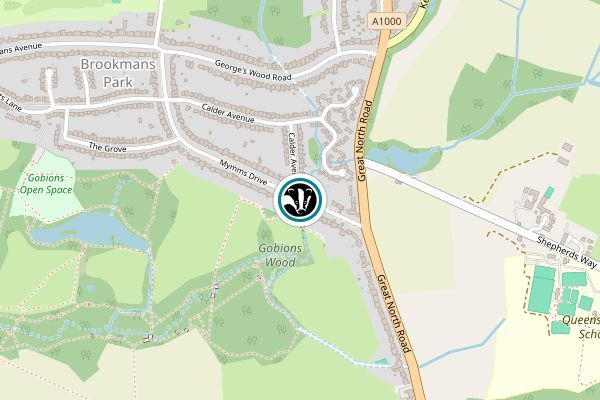 Gobions Wood