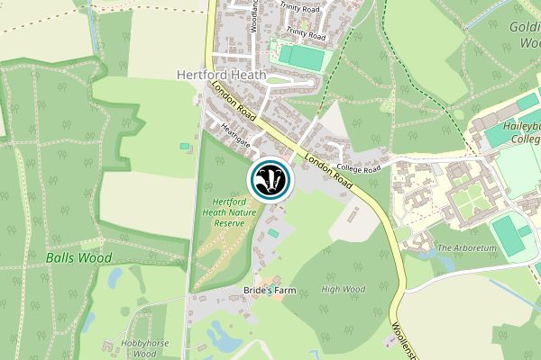 Hertford Heath