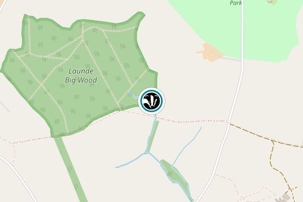 Launde Woods