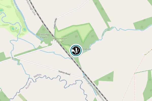 Wymondham Rough
