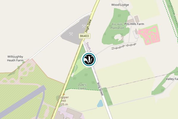 Duke's Covert & Copper Hill