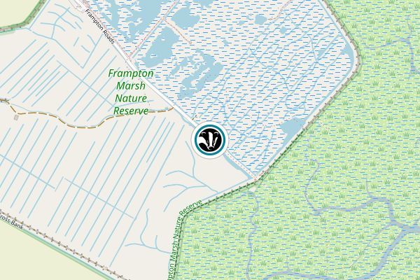 Frampton Marsh
