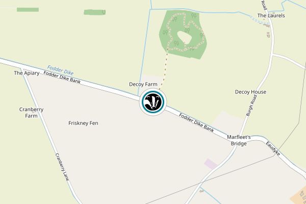 Friskney Decoy Wood