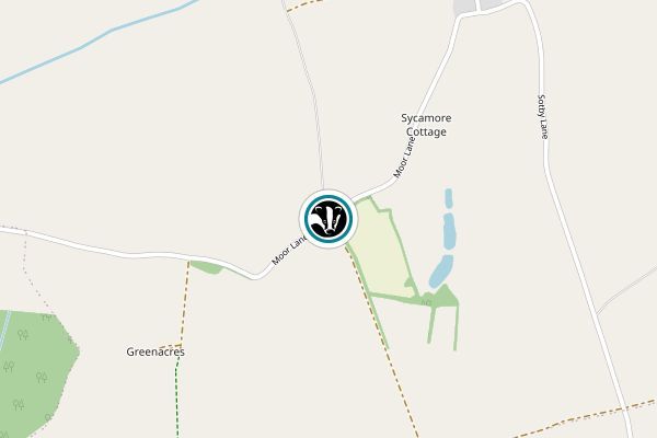 Sotby Meadows
