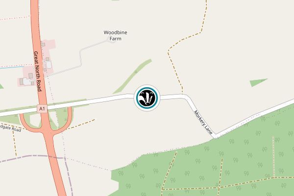 South Witham Verges