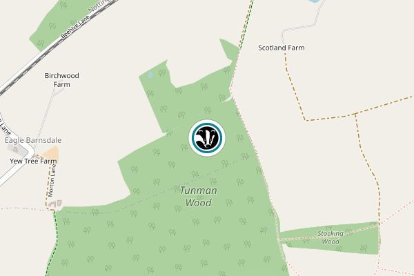 Tunman Wood