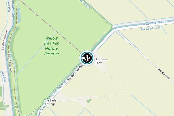 Willow Tree Fen