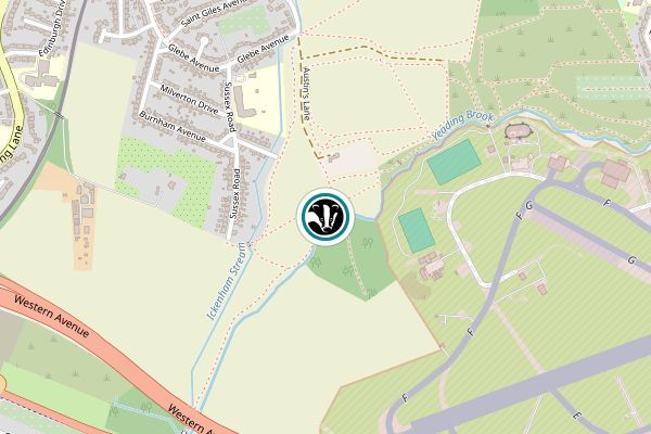 Ickenham Marsh