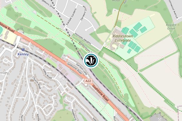 Riddlesdown