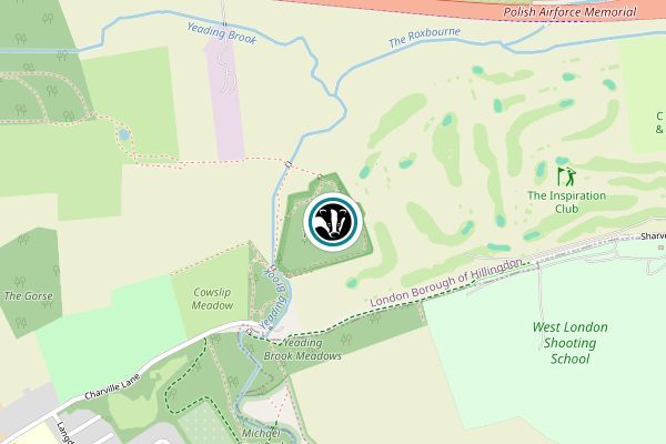 Ten Acre Wood and Meadows