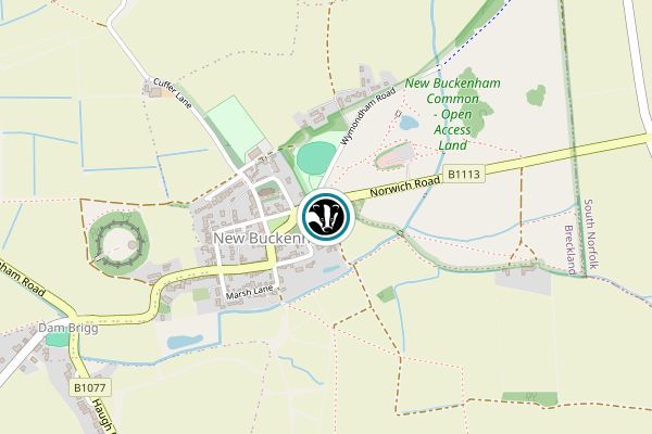New Buckenham Common