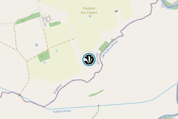 Old Pulford Brook Meadows Nature Reserve
