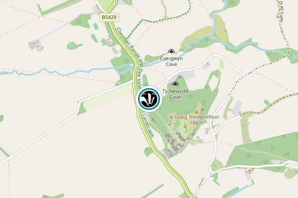 Y Graig Nature Reserve