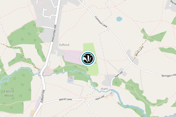 Edford Meadows