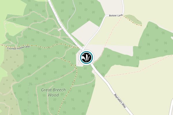 Great Breach Wood