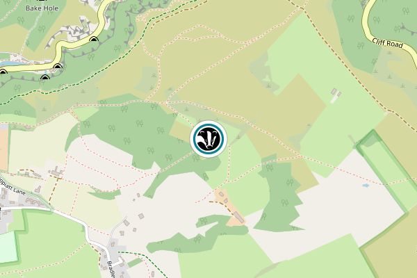 Mascall's Wood