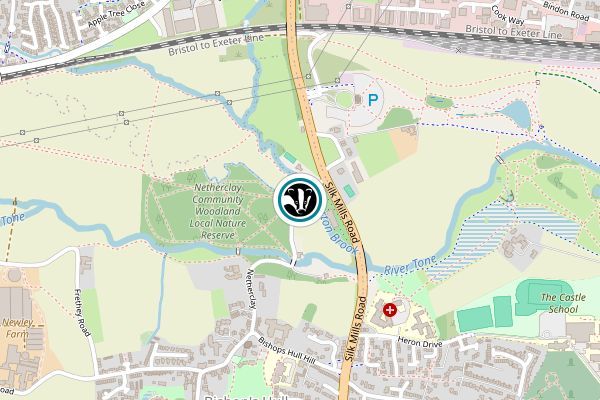 Netherclay Community Woodland