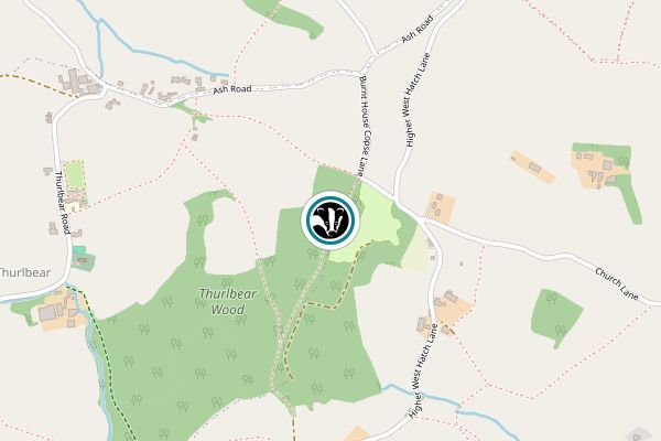 Thurlbear Wood