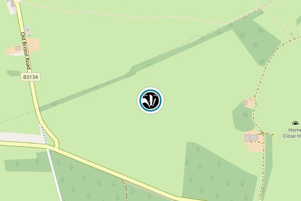 Tor Hole Fields
