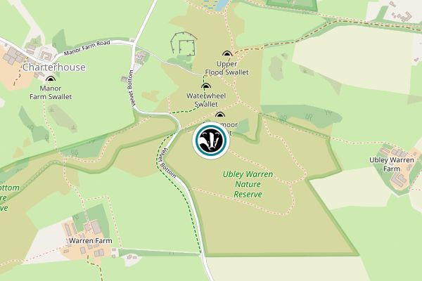 Ubley Warren