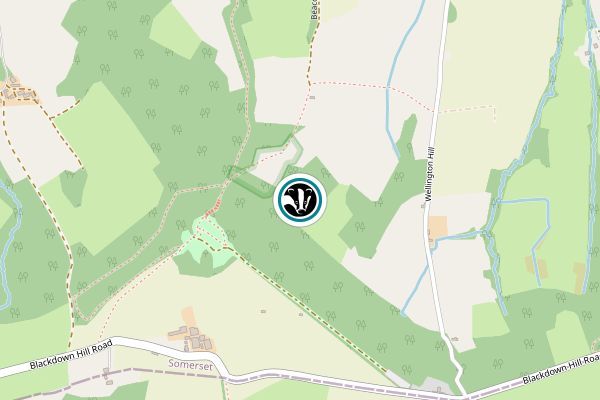 Wellington Castle Fields