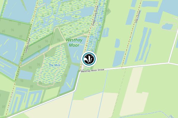 Westhay Moor National Nature Reserve