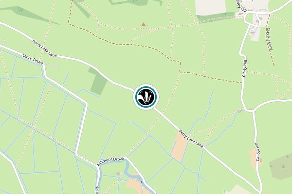 Yarley Fields