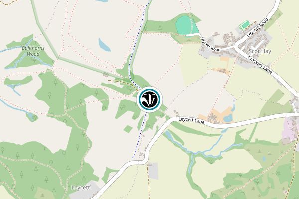 Leycett Meadows