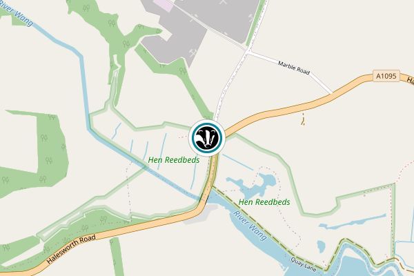 Hen Reedbeds Nature Reserve