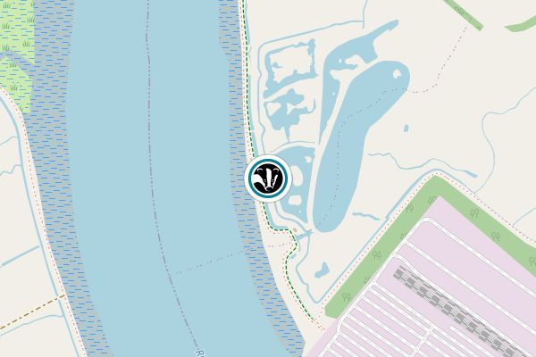 Trimley Marshes Nature Reserve