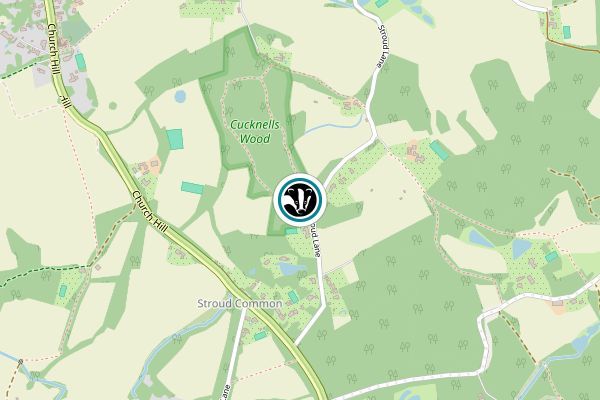 Cucknell's Wood