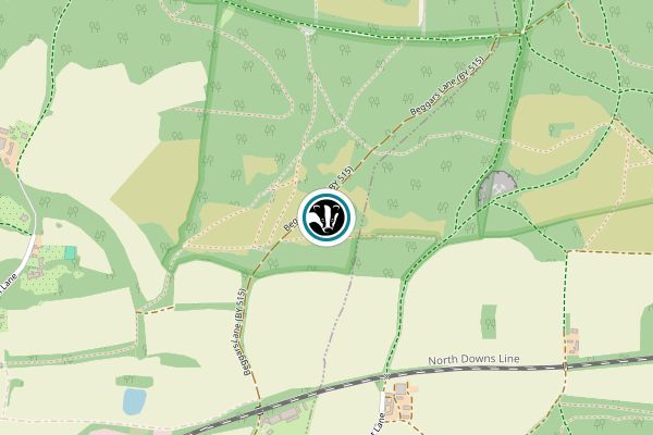 Hackhurst Downs
