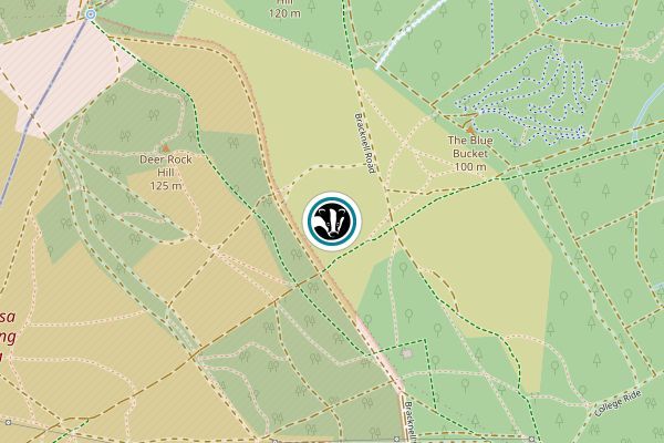 Poors Allotment