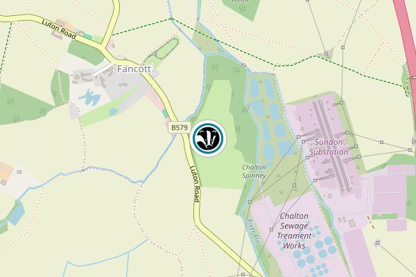 Fancott Woods & Meadows
