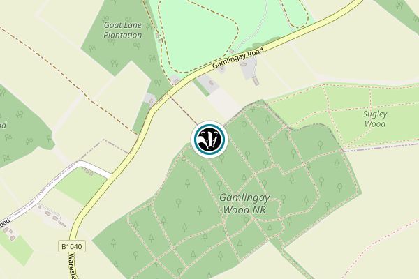 Gamlingay Wood