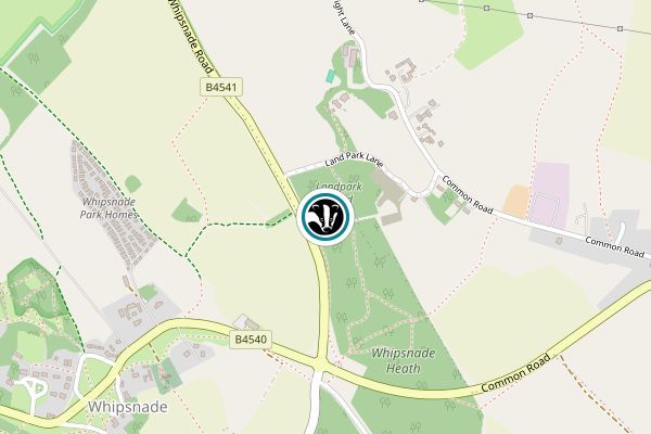 Landpark Wood