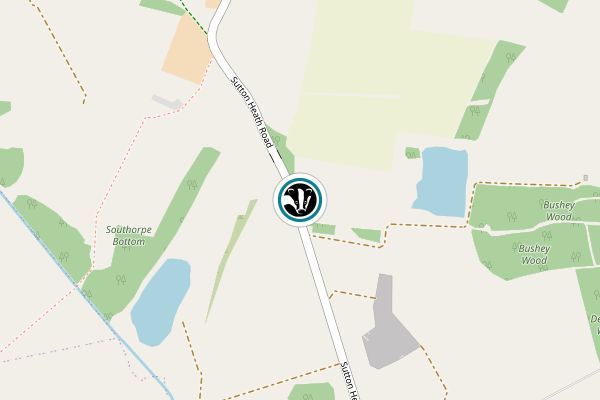 Southorpe Paddock