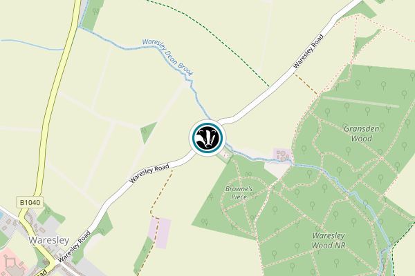 Waresley & Gransden Woods