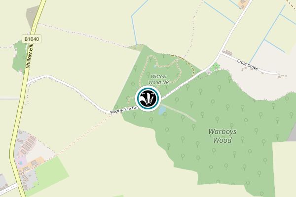 Wistow Wood