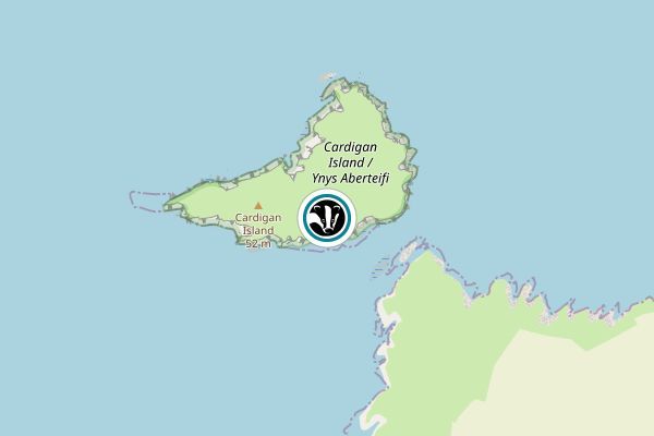 Cardigan Island, Gwbert, Ceredigion