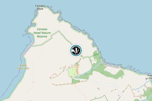 Cemaes Head
