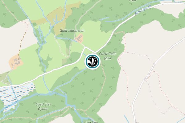 Llanerch Alder Carr