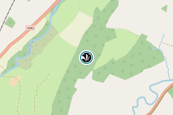 Poor Man’s Wood/Gallt y Tlodion, Llandovery