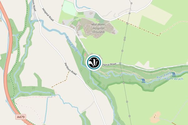 Pwll y Wrach Nature Reserve