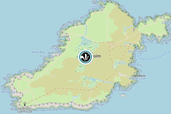 Skokholm Island